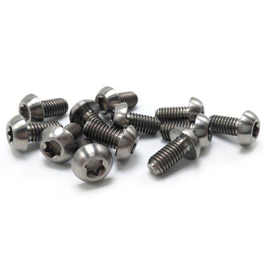 Titanium MTB Bicycle Disc Rotor Bolts T25 M5 x 10mm