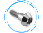Disc Rotor Bolts